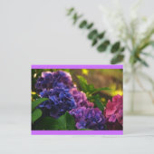 Carte Postale Coucher de soleil sur Hydrangeas (Debout devant)