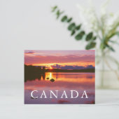 Carte Postale Coucher de soleil sur la baie Alexander (Debout devant)