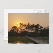 Carte Postale Coucher de soleil sur la côte de Caroline (Devant / Derrière)