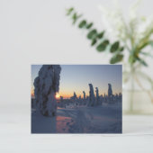 Carte Postale Coucher de soleil sur la forêt en Laponie (Debout devant)