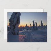 Carte Postale Coucher de soleil sur la forêt en Laponie (Devant / Derrière)