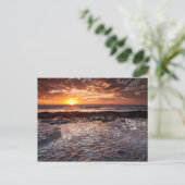 Carte Postale Coucher de soleil sur la plage, Californie (Debout devant)