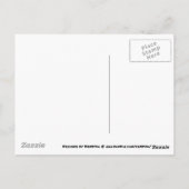 Carte Postale Coucher de soleil sur la plage de Saint Pete (Dos)