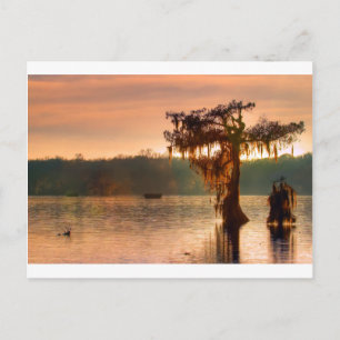 Carte Postale Coucher de soleil sur le bayou 5769