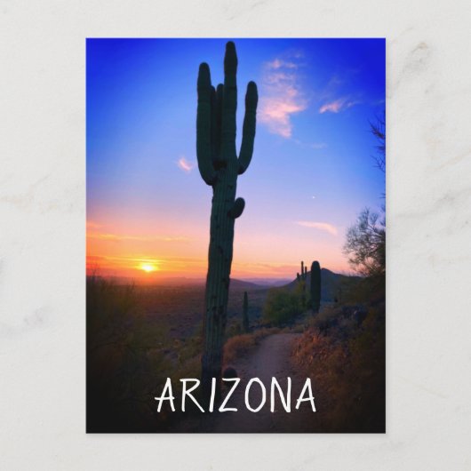 Carte Postale Coucher de soleil sur le cactus saguaro d'Arizona  (Devant)