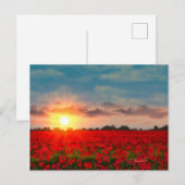 Carte Postale Coucher de soleil sur le champ de coquelicot JW (Devant / Derrière)