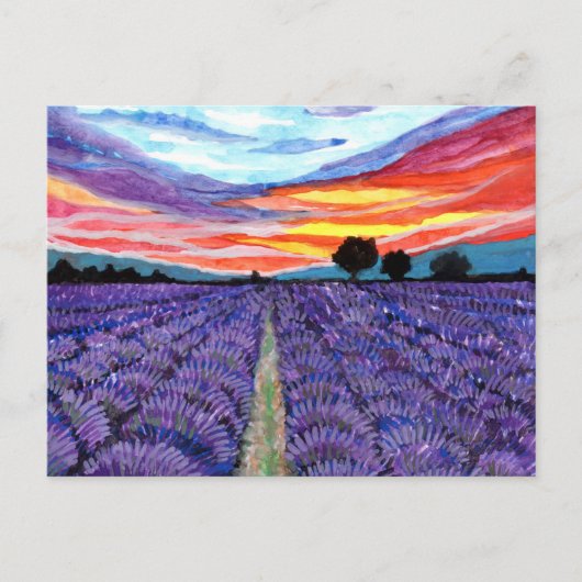 Carte Postale Coucher de soleil sur le champ Lavender (Devant)