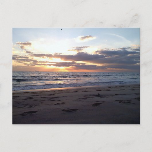 Carte Postale Coucher de soleil sur le golfe de Floride (Devant)