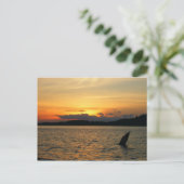 Carte Postale Coucher de soleil sur le lac (Debout devant)