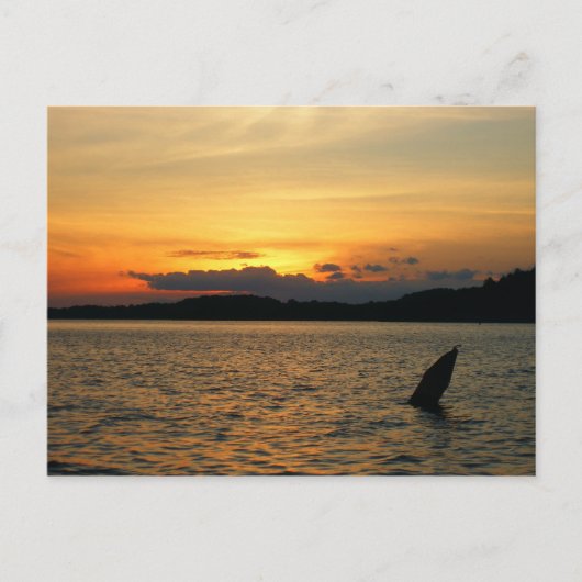 Carte Postale Coucher de soleil sur le lac (Devant)