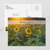 Carte Postale Coucher De Soleil Sur Le Terrain De Tournesol Pens (Devant / Derrière)