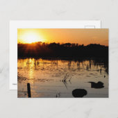 Carte Postale Coucher de soleil sur l'étang (Devant / Derrière)
