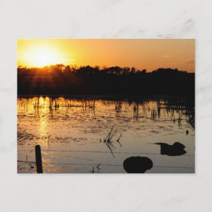 Carte Postale Coucher de soleil sur l'étang