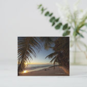 Carte Postale Coucher de soleil sur l'océan Indien à travers pal (Debout devant)