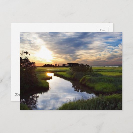 Carte Postale Coucher de soleil sur Marsh Bombay Hook Deleware (Devant / Derrière)