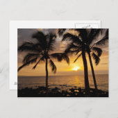 Carte Postale Coucher de soleil sur palmier (Devant / Derrière)