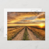 Carte Postale Coucher de soleil sur une route de campagne (Devant / Derrière)