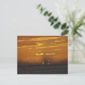 Carte Postale Coucher de soleil tahitien (Debout devant)