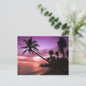 Carte Postale Coucher de soleil tropical (Debout devant)