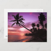 Carte Postale Coucher de soleil tropical (Devant / Derrière)