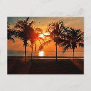 Carte Postale Coucher de soleil tropical