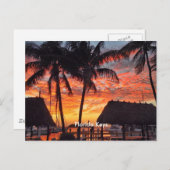 Carte Postale Coucher de soleil tropical dans les Florida Keys (Devant / Derrière)