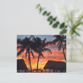 Carte Postale Coucher de soleil tropical Florida Keys (Debout devant)