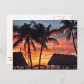 Carte Postale Coucher de soleil tropical Florida Keys (Devant / Derrière)