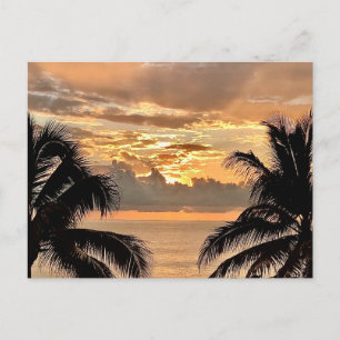 Carte Postale Coucher de soleil tropical Puerto Vallarta
