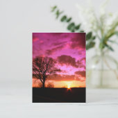 Carte Postale Coucher de soleil violet (Debout devant)