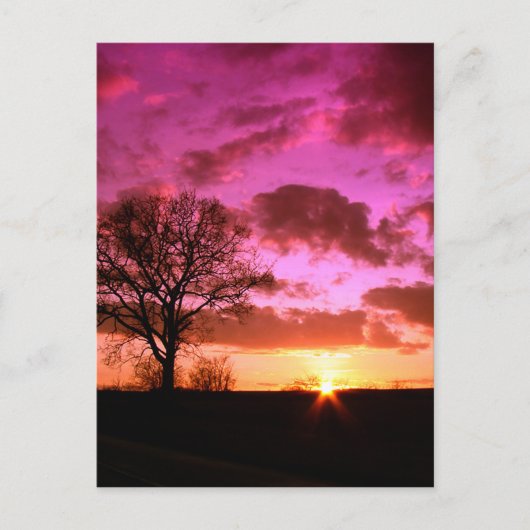 Carte Postale Coucher de soleil violet (Devant)