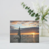 Carte Postale Coucher du soleil (Debout devant)