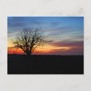 Carte Postale Coucher du soleil