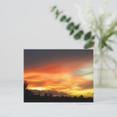 Carte Postale Coucher du soleil (Debout devant)