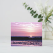 Carte Postale Coucher du soleil (Debout devant)