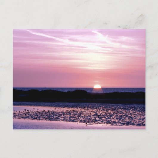 Carte Postale Coucher du soleil (Devant)