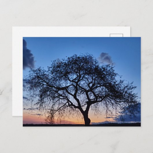 Carte Postale Coucher du soleil (Devant / Derrière)