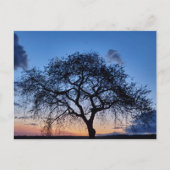 Carte Postale Coucher du soleil (Devant)