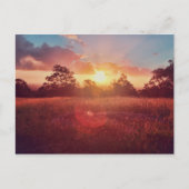 Carte Postale Coucher du soleil (Devant)