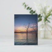 Carte Postale Coucher du soleil (Debout devant)