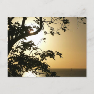 Carte Postale Coucher du soleil à travers les arbres II Photogra