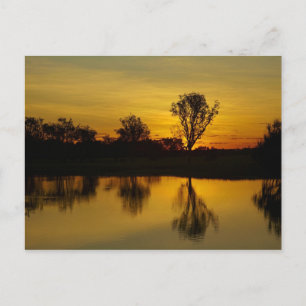 Carte Postale Coucher du soleil, Billabong d'eau jaune