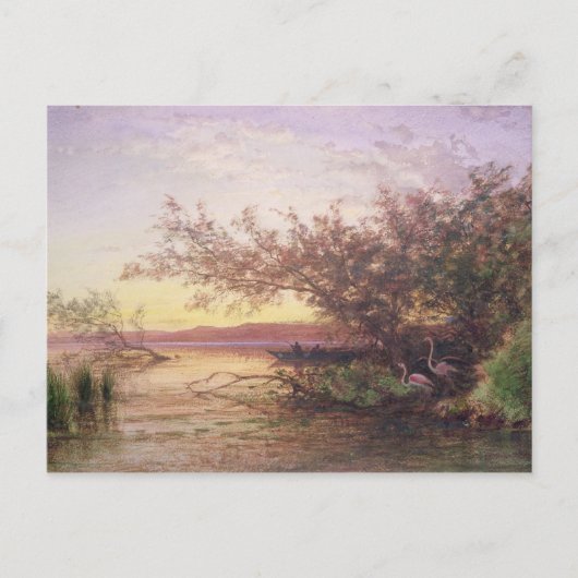 Carte Postale coucher du soleil, Camargue (Devant)