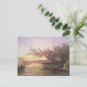 Carte Postale coucher du soleil, Camargue (Debout devant)