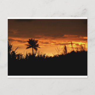 Carte Postale Coucher du soleil du Costa Rica