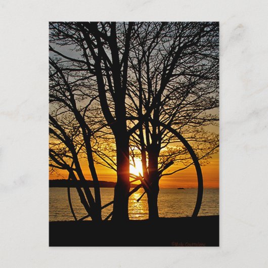 Carte Postale Coucher du soleil par l'art (Devant)