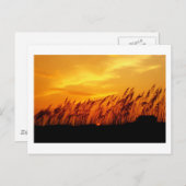 Carte Postale Coucher du soleil sur coucher du soleil (Devant / Derrière)