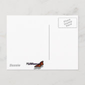 Carte Postale Coucher du soleil sur l'eau Photographie de l'océa (Dos)