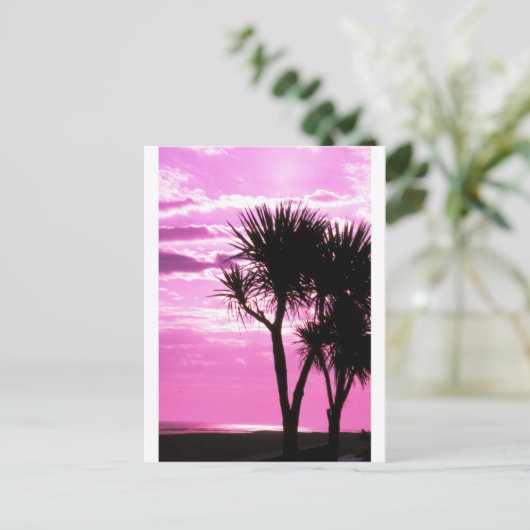 Carte Postale coucher rose (Debout devant)