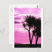 Carte Postale coucher rose (Devant / Derrière)